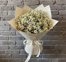 Букет цветов из:  Ромашки в Нижнем Новгороде